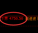 PTA期货：试仓低点，精准展开积极回升