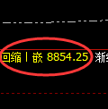 棕榈油期货：试仓高点，精准展开直线跳水
