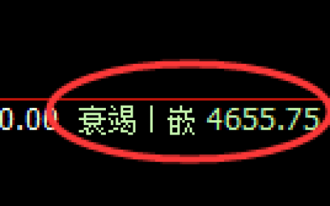 PTA期货：日线低点，精准展开强势反弹