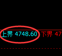 PTA期货：日线低点，精准展开强势反弹