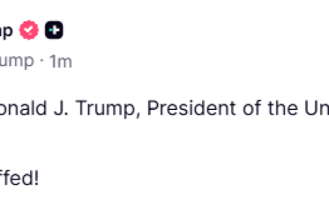 特朗普：不会对黄金征收关税