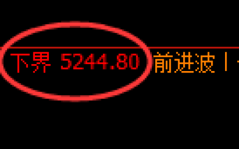 纸浆期货：试仓低点，精准展开快速回落
