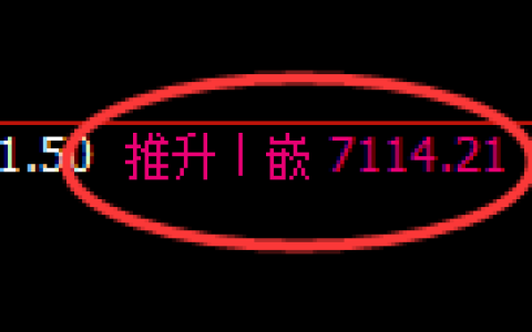 聚丙烯期货：日线高点，精准展开振荡回落