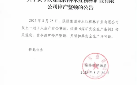 榆林市能源局：责令陕煤集团神木红柳林矿业停产整顿