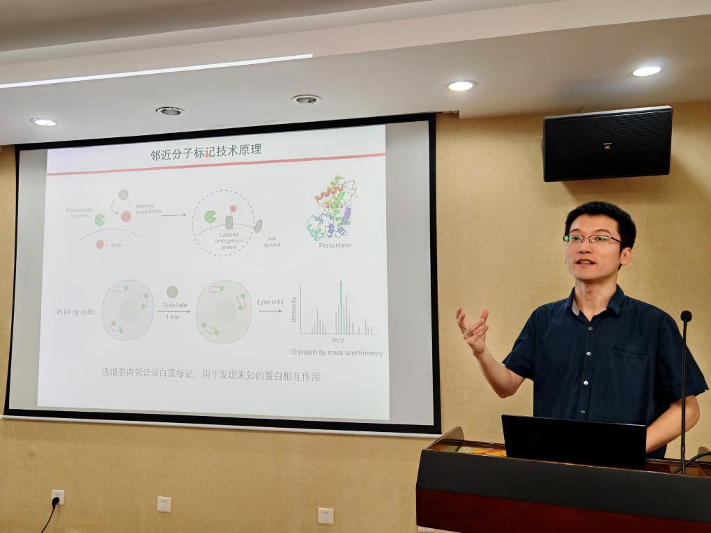 我国科研人员开发可用于癌症免疫治疗的“纳米标记机器人”