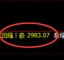 豆粕期货：日线低点，精准展开强势反弹