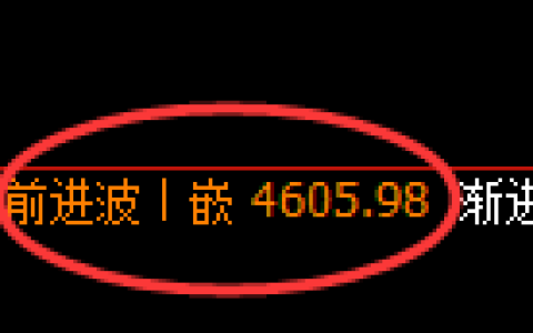 PTA期货：日线高点，精准展开快速调整