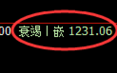 纯碱期货：4小时低点，精准展开强势反弹