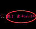 PTA期货：回补低点，精准展开振荡回升