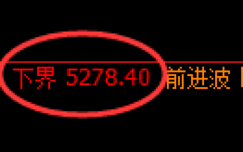 纸浆期货：试仓低点，精准展开单边极端上行