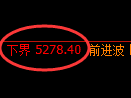 纸浆期货：试仓低点，精准展开单边极端上行