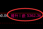 纸浆期货：试仓低点，精准展开单边极端上行