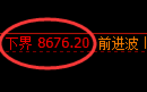 棕榈油期货：试仓低点，精准展开振荡回升