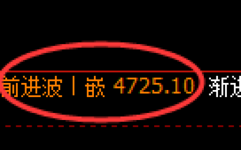PTA期货：日线高点，精准展开振荡回落