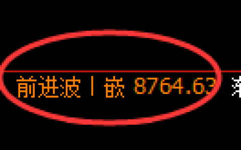 棕榈油期货：修正高点，精准展开单边回落