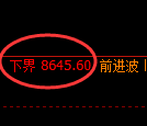 棕榈油期货：试仓低点，精准展开直线拉升