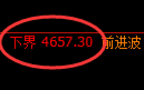 PTA期货：试仓低点，精准展开积极反弹