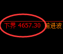 PTA期货：试仓低点，精准展开积极反弹
