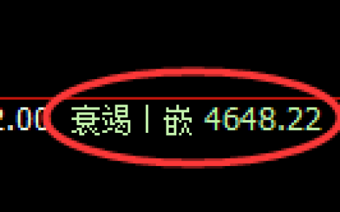 PTA期货：4小时低点，精准展开强势回升