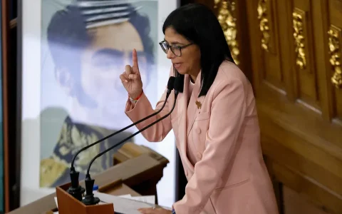 委内瑞拉副总统接任临时总统职务