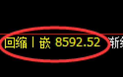 棕榈油期货：日线低点，精准展开振荡修正