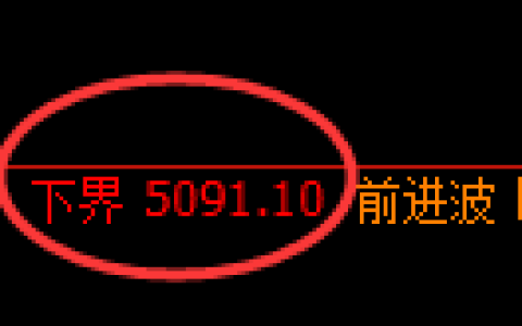 PTA期货：试仓低点，精准展开强势反弹