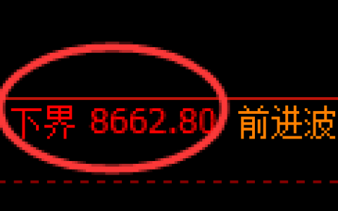 棕榈油期货：试仓低点，精准展开强势回升