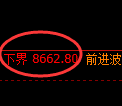 棕榈油期货：试仓低点，精准展开强势回升