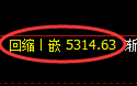 纸浆期货：回补低点，精准展开强势反弹