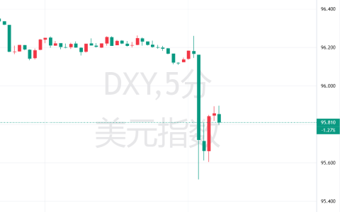 特朗普：不担心美元贬值 可以让其像悠悠球一样涨跌