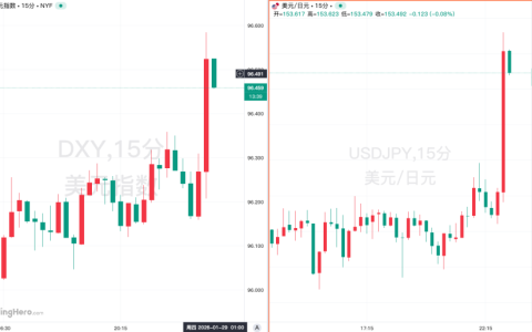 美国财长：美国长期奉行强势美元政策