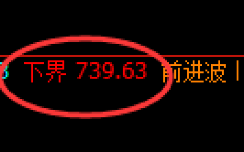 铁矿石期货：试仓低点，精准展开强势反弹