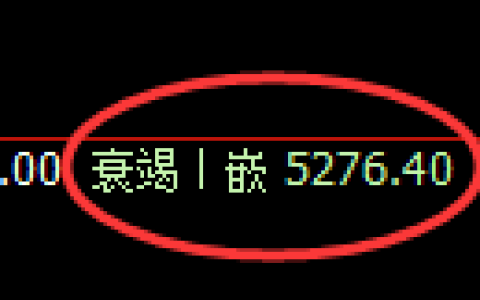 PTA期货：修正低点，精准展开强势拉升