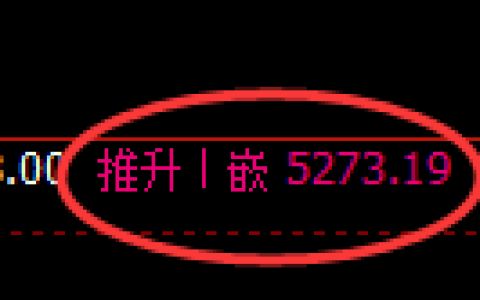 纸浆期货：4小时高点，精准展开振荡回落