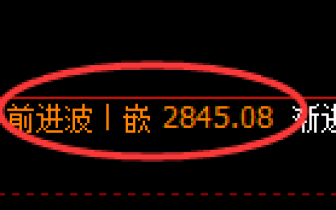 豆粕期货：修正高点，精准展开单边极端回落
