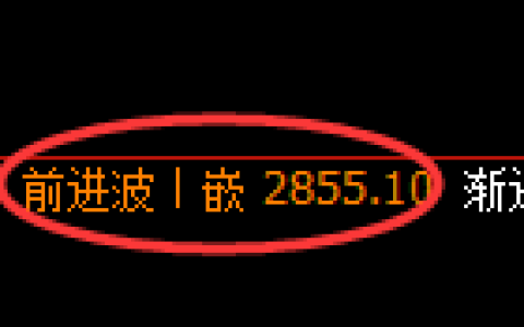 豆粕期货：日线高点，精准展开深度调整