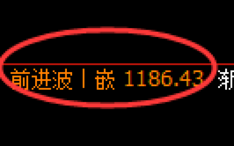 焦煤期货：日线高点，精准展开大幅回落