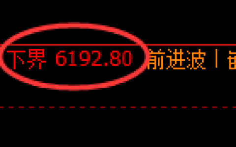 PTA期货：修正低点，精准展开振荡反弹