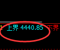 燃油期货:试仓低点,精准展开强势拉升