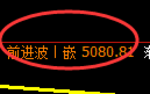 纸浆期货：日线高点，精准展开单边极端回落