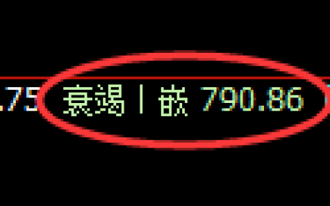 铁矿石期货：4小时低点，精准展开极端反弹