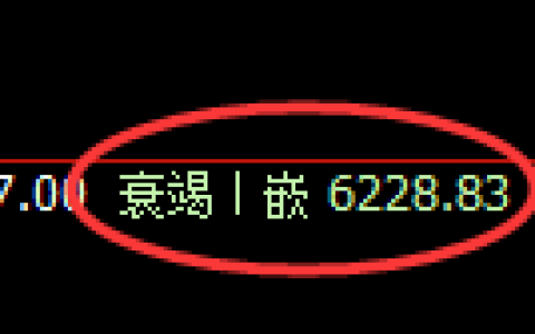 PTA期货：修正低点，精准展开强势反弹
