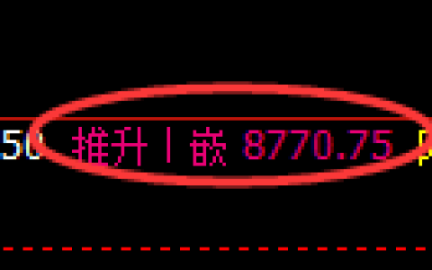 聚丙烯期货：修正高点，精准展开单边极端回落