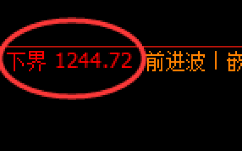 焦煤期货：试仓低点，精准展开极端回升
