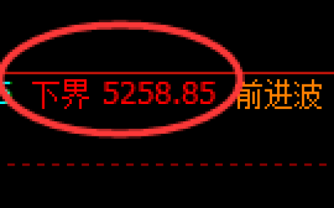 液化气期货：试仓低点，精准展开直线拉升