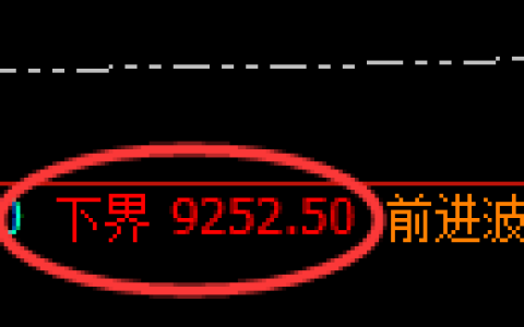 棕榈油期货：试仓低点，精准展开振荡回升