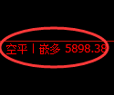 PTA期货:修正高点,精准展开快速调整