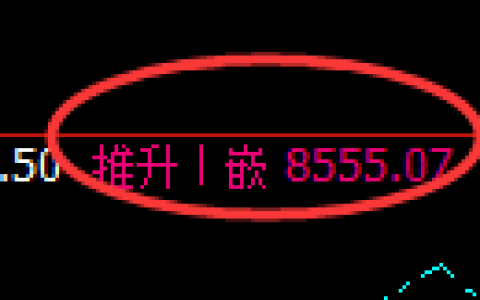 聚丙烯期货：修正高点，精准展开快速调整