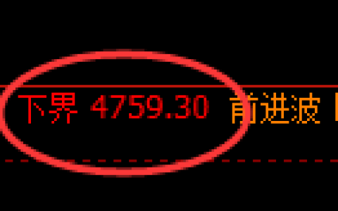 纸浆期货：4小时低点，精准展开强势回升
