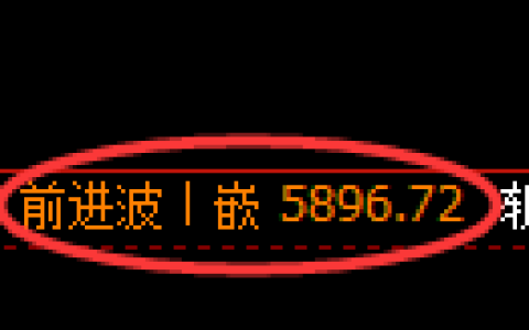 PTA期货：修正高点，精准展开大幅调整